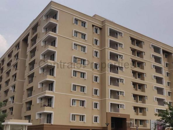3BHK Flats Apartments for sale to buy in Devanahalli Bangalore Deodar at Brigade Orchards