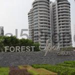 Flats apartments for sale to buy in Noida Sector 93B Omaxe The Forest Spa
