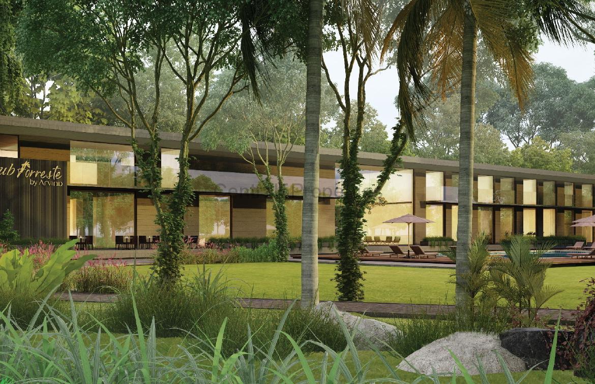 Luxury Villas Homes for sale to buy in Kalol Road Ahmedabad by Arvind Forreste