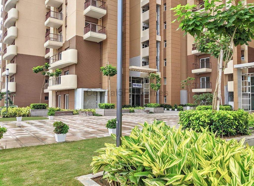 Flats Apartments for sale buy in Sohna Gurgaon Eldeco Accolade
